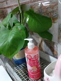 Rose Pink Scent Shower Cream 480ml pump bottle